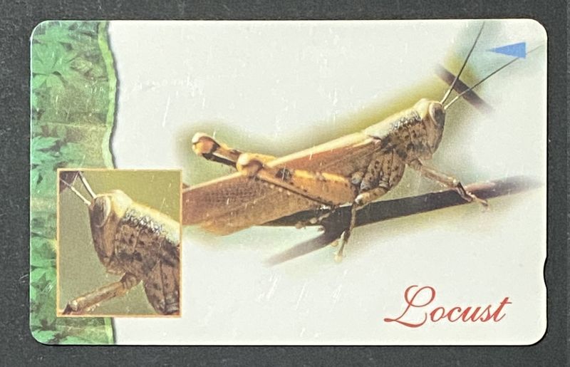 Scheda Telefonica Singapore Telecom Locust Locusta Insetti $10 Usata Scheda Telefonica Singapore Telecom Locust Locusta Insetti $10 Usata