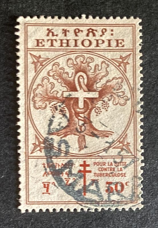 Francobollo Etiopia 1951 Lotta Contro la Tubercolosi 50c Albero della Salute Usato Francobollo Etiopia 1951 Lotta Contro la Tubercolosi 50c Albero della Salute Usato