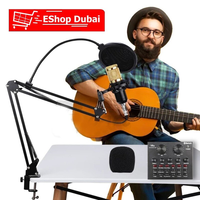 PROFESSIONAL CONDENSER MICROPHONE