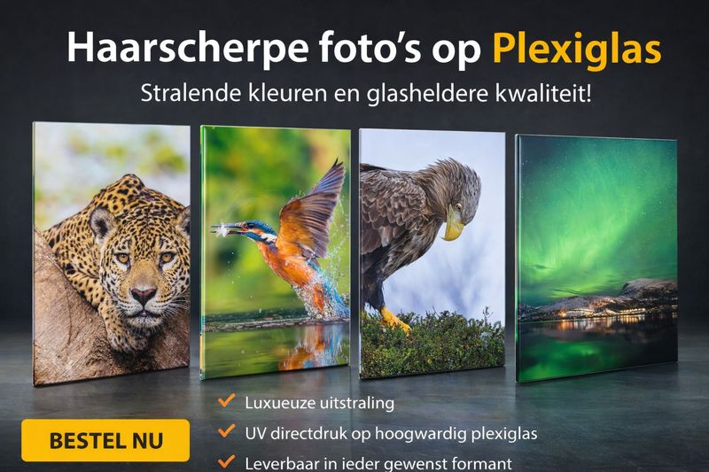Bedrukken van een foto of karikatuur op plexiglas 2 mm dik