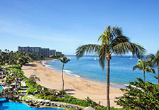VIP Hawaii Experience with Nancy and her Team Deposit - January 16-21, 2023 011623