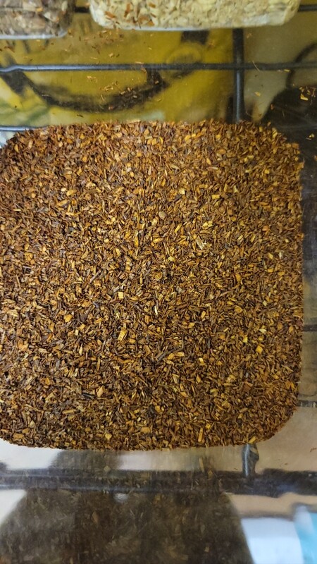 Roobios Tea
