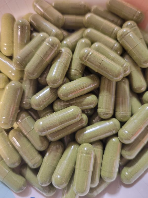 Moringa Phyto Powerhouse