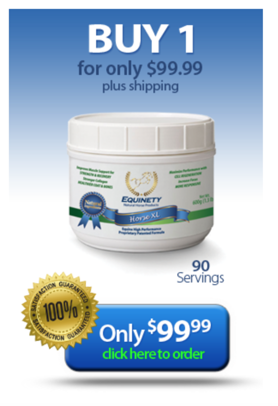 Equinety Amino Acids