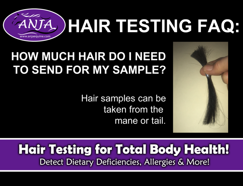 Horse Hair Testing