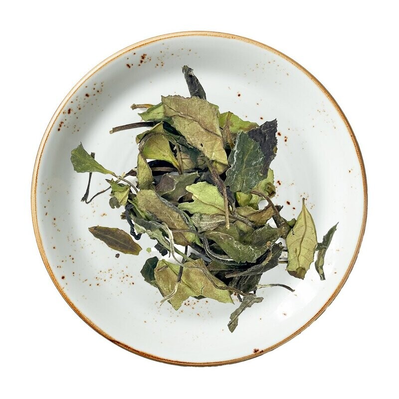 Shou Mei White Tea