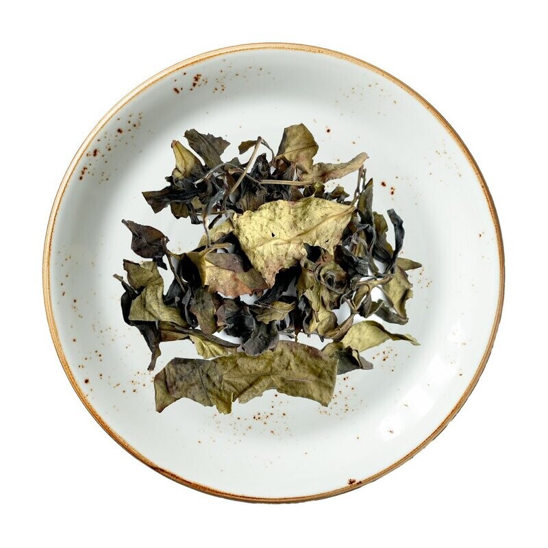 Phoenix Dancong White Tea