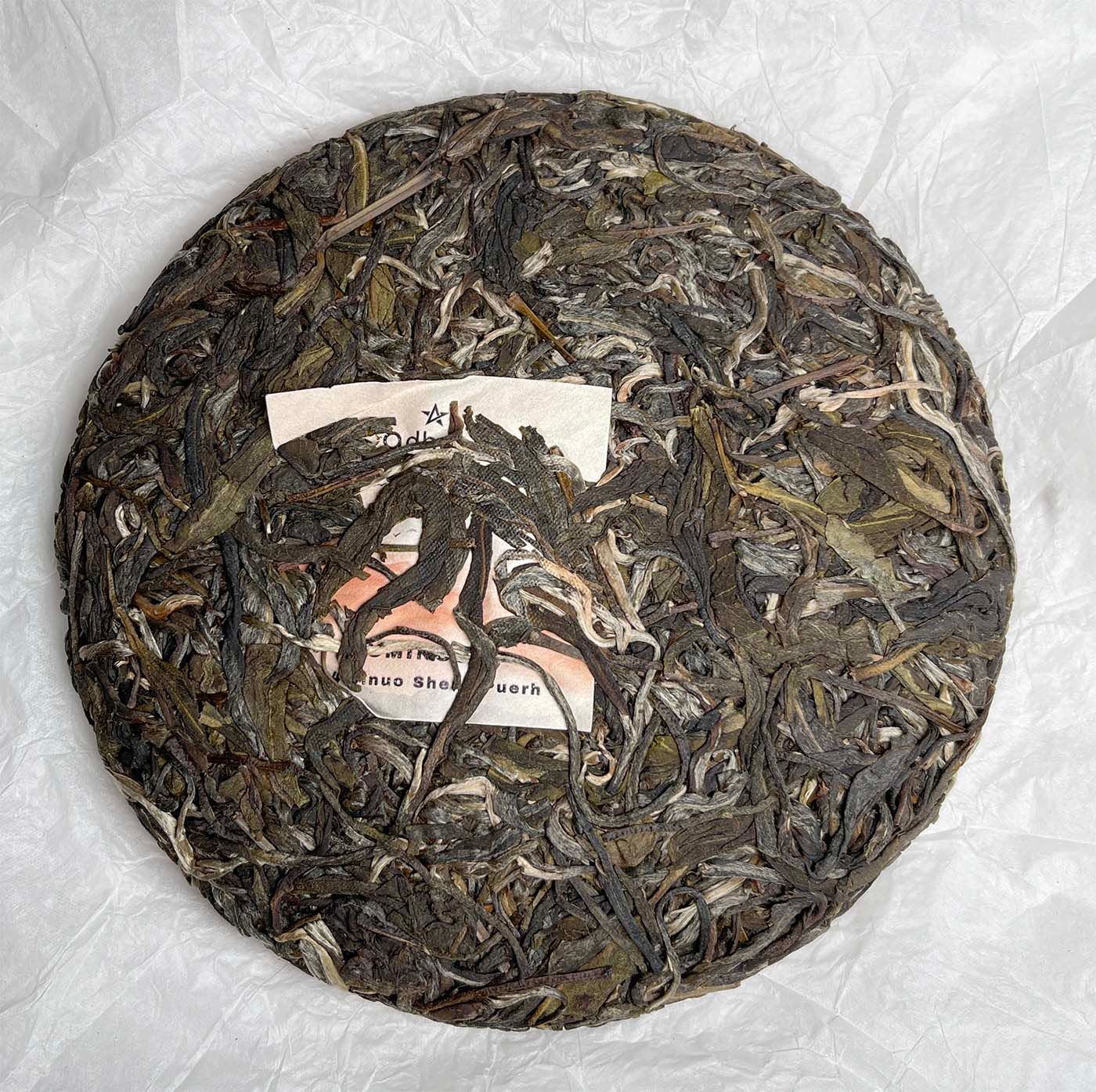 Jinuo Mountain Raw Puerh - Luminous