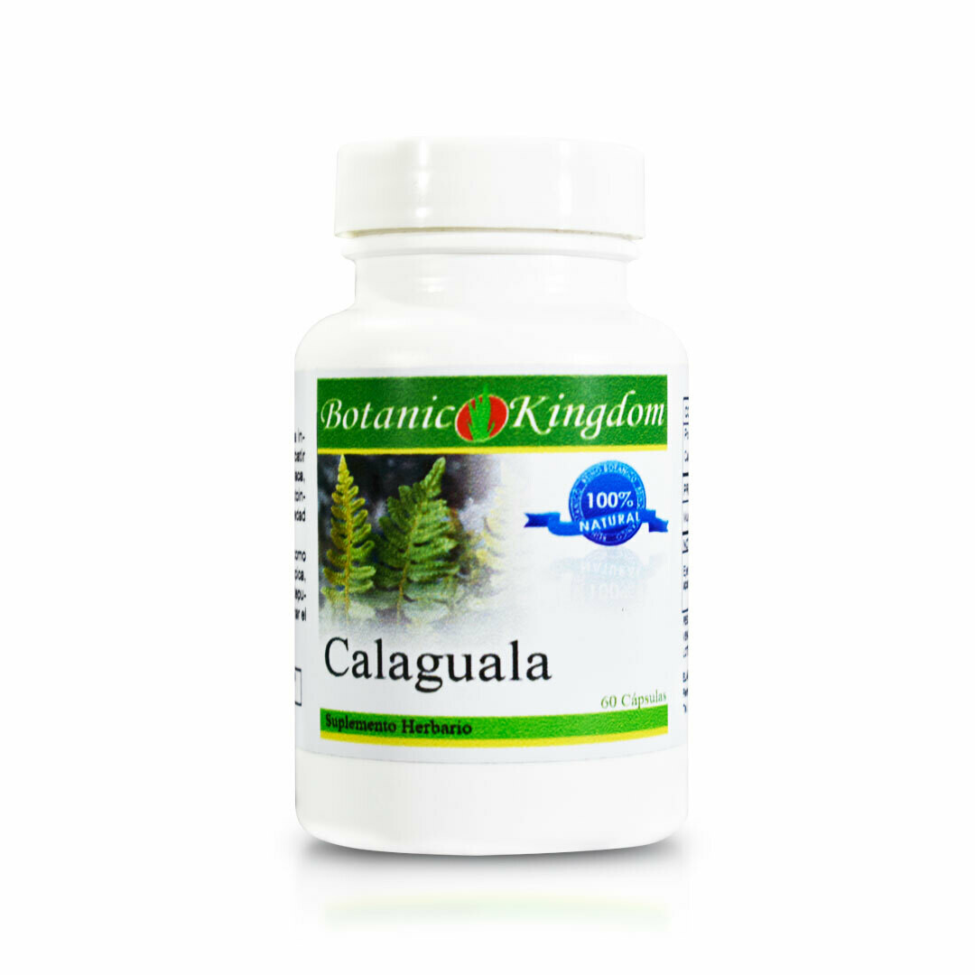 Calaguala