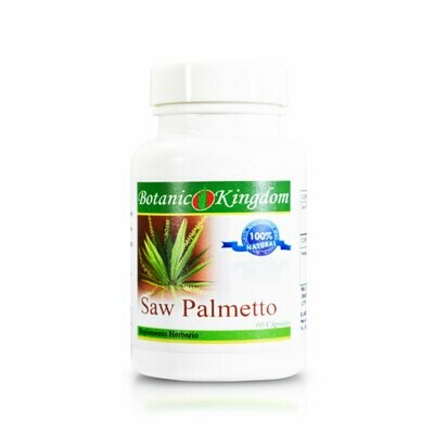 Saw Palmetto
