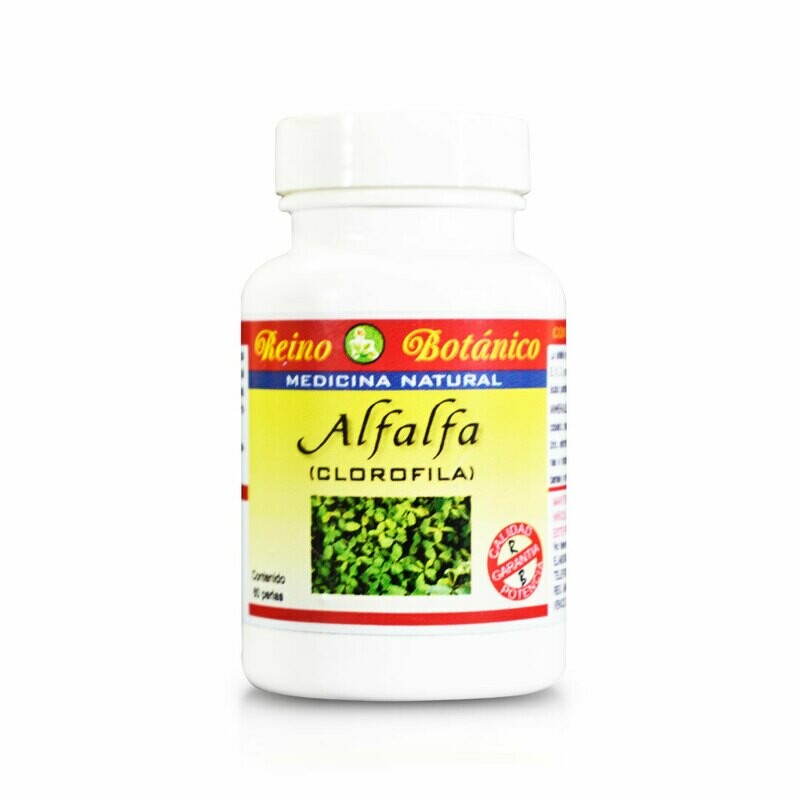 Alfalfa