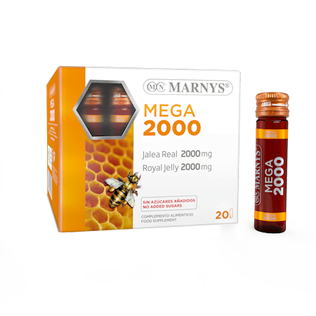 Mega 2000