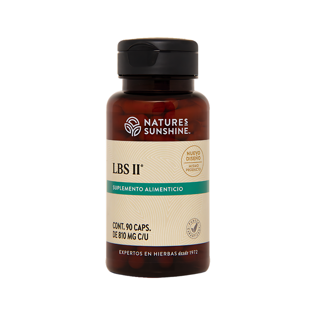 LBS II