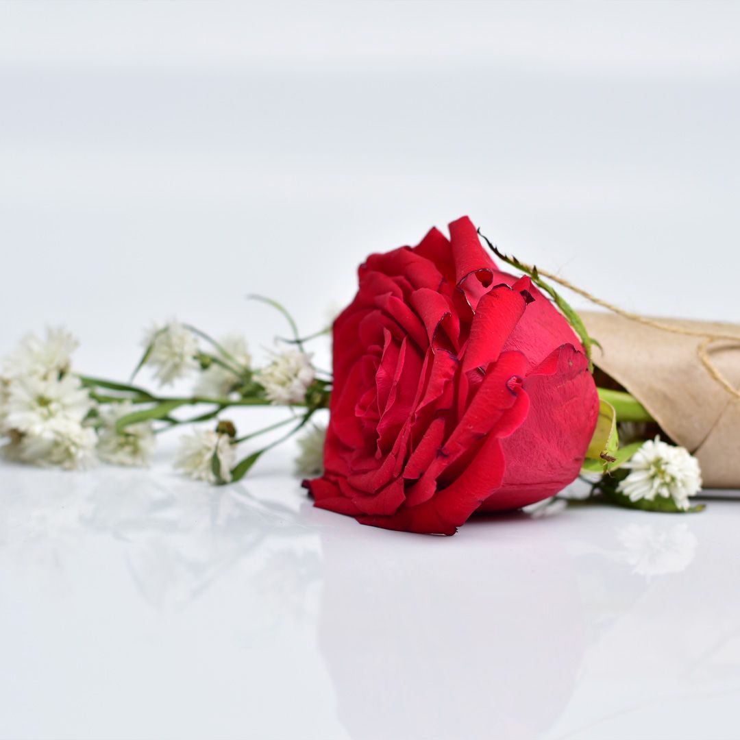 Rosas