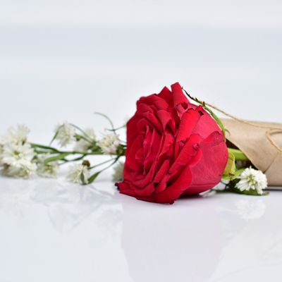 Rosas