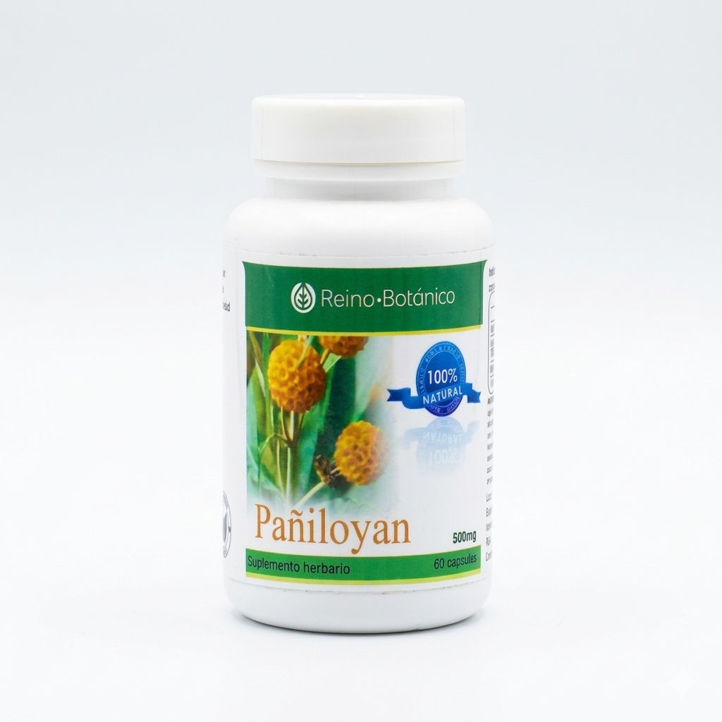 Pañiloyan