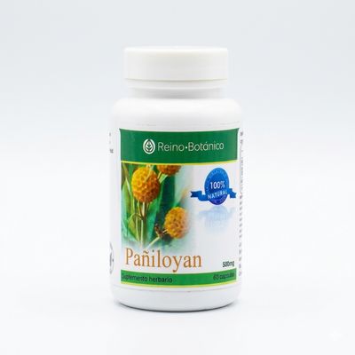 Pañiloyan