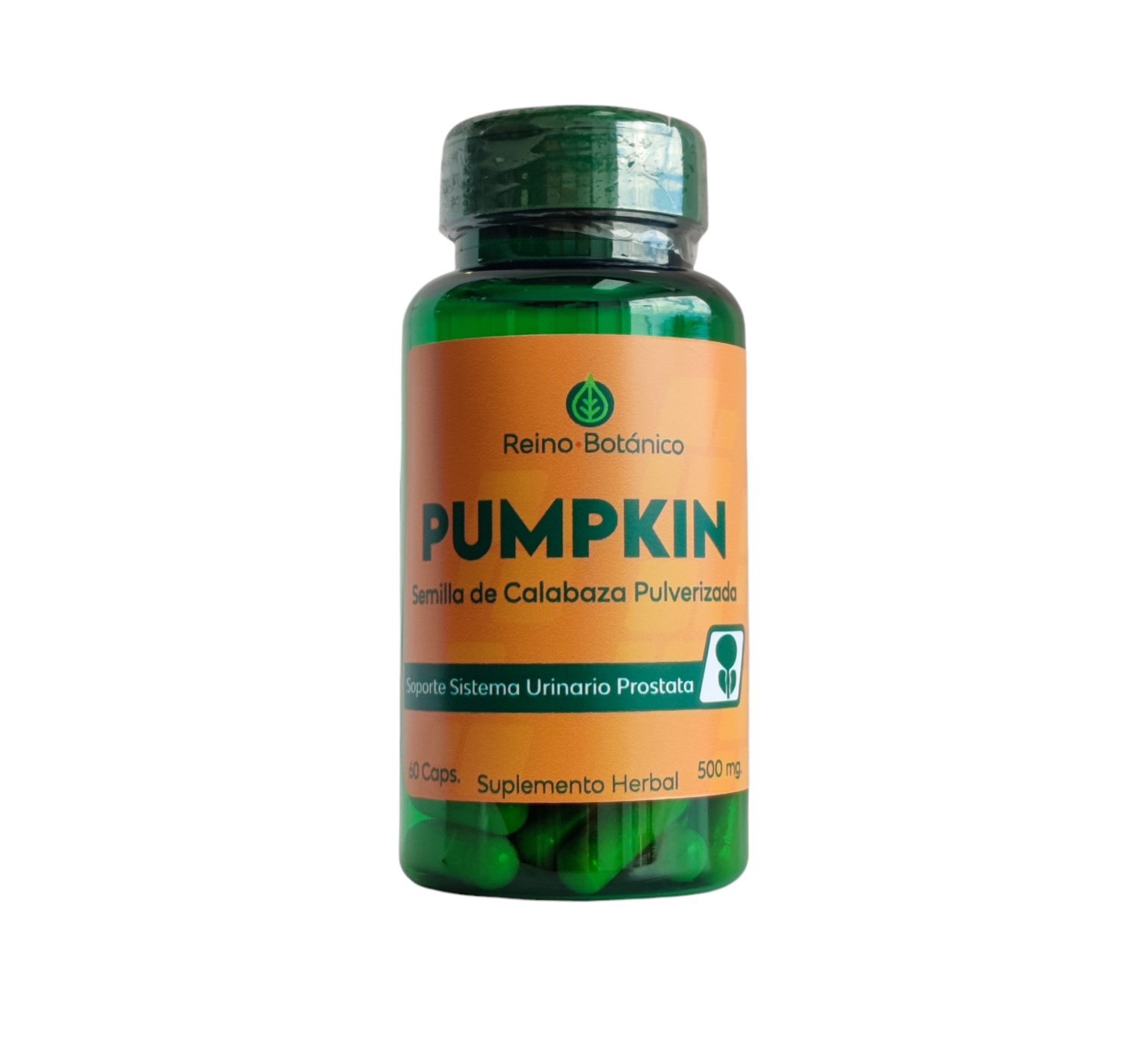 Pumpkin | Semilla Calabaza