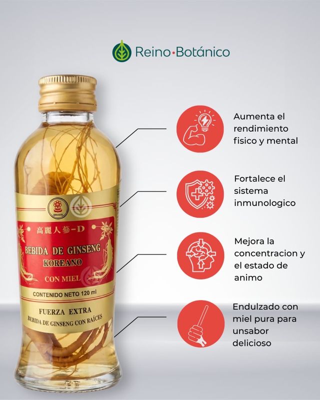 Ginseng koreano
