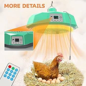 Chicken Coop Heater: Light &amp; Heat Fan in 1 with Remote