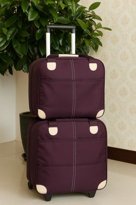 Oxford Clothes Luggage 2-Piece Set