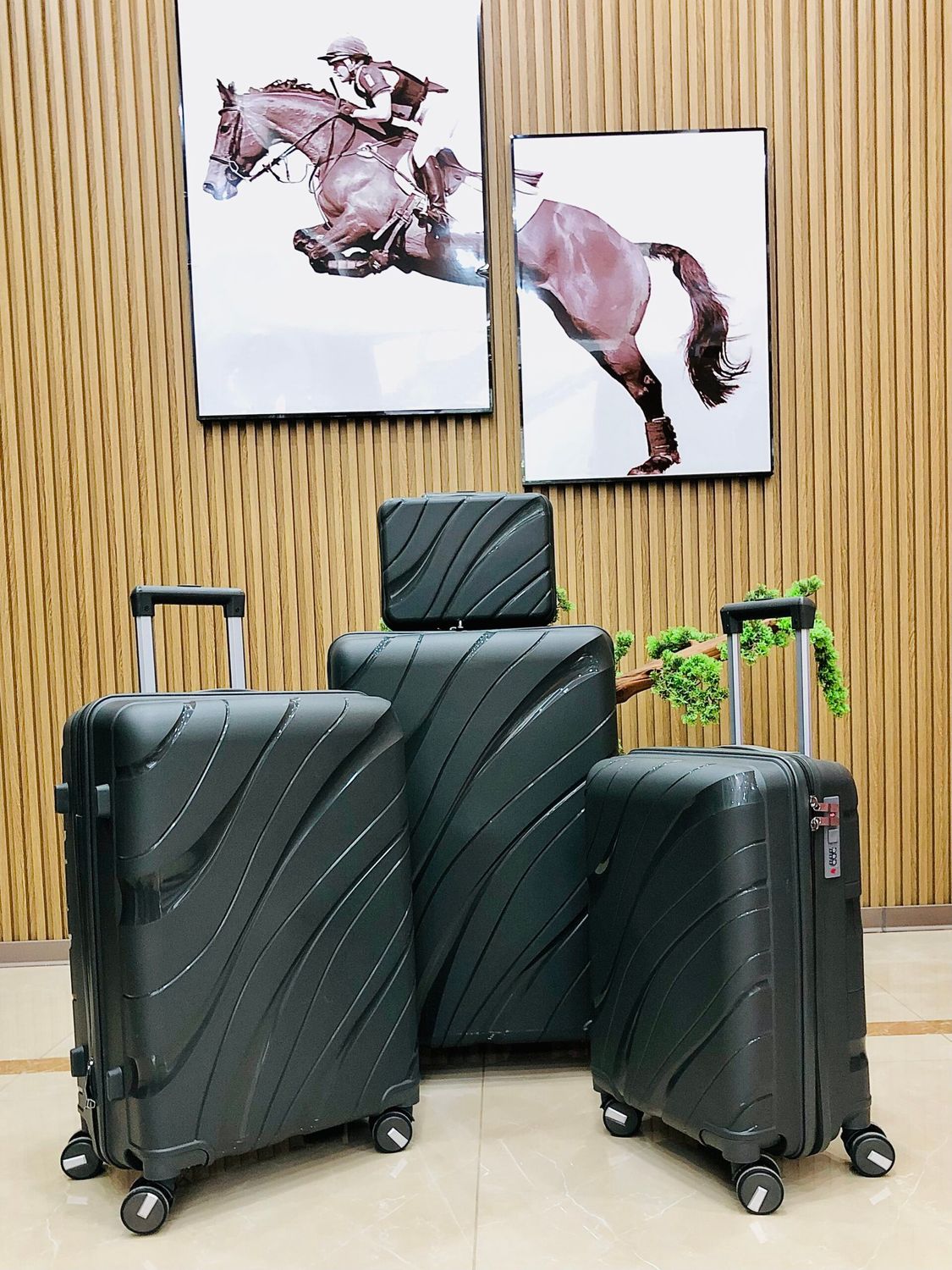 Hard-Shell Spinner Suitcases 4pcs