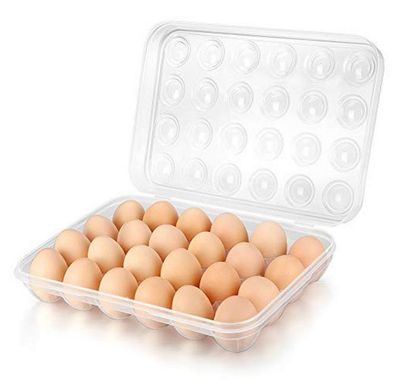 Plastic Egg Storage Tray - 24
