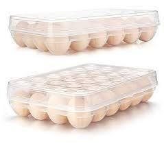Plastic Egg Storage Tray - 24
