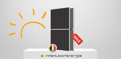 REGITEC Solar Modul Typ RRMHHB66-700S3 700W