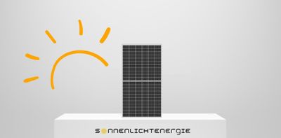 Leapton LP210*210-M-66-MH-650 Glas-Glas Bifazial 650W