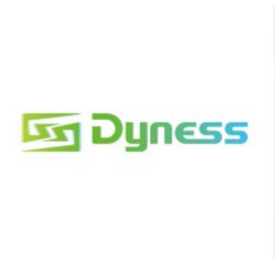 DYNESS