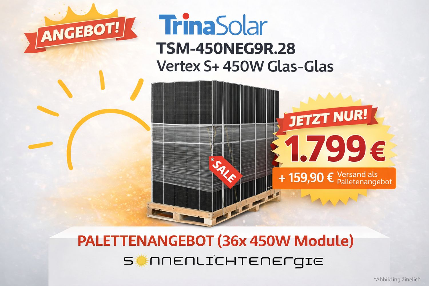 Trina Solar TSM-450NEG9R.28 Vertex S+ 450W Glas-Glas