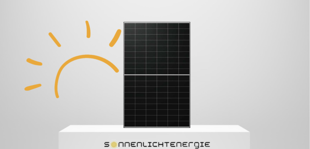 Longi Solar LR8-66HGD-615M Glas-Glas Bifazial