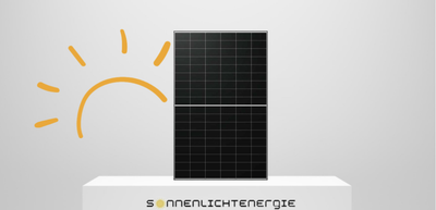 Longi Solar LR8-66HGD-615M Glas-Glas Bifazial