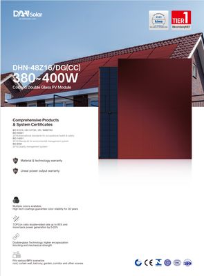 DAH Solar DHN-48Z16-DG(CC)-400W 400W Glas-Glas Bifazial RAL 4004 Burgunderrot