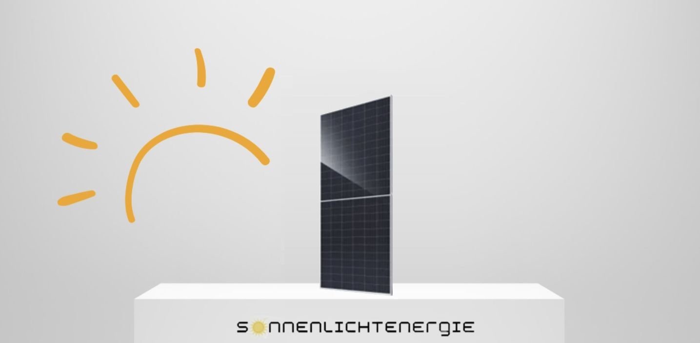 TCL HSM-ND66-GR625W Bifazial Glas-Glas 625W Container-Ware (720 Stück)