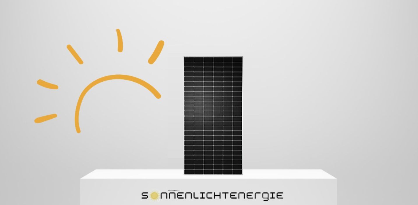 TW Solar TWMNF-66HD-720 Glas-Glas Bifazial 720W (Container 594 Stück)