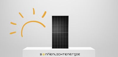 TW Solar TWMNF-66HD-720 Glas-Glas Bifazial 720W (Container 594 Stück)