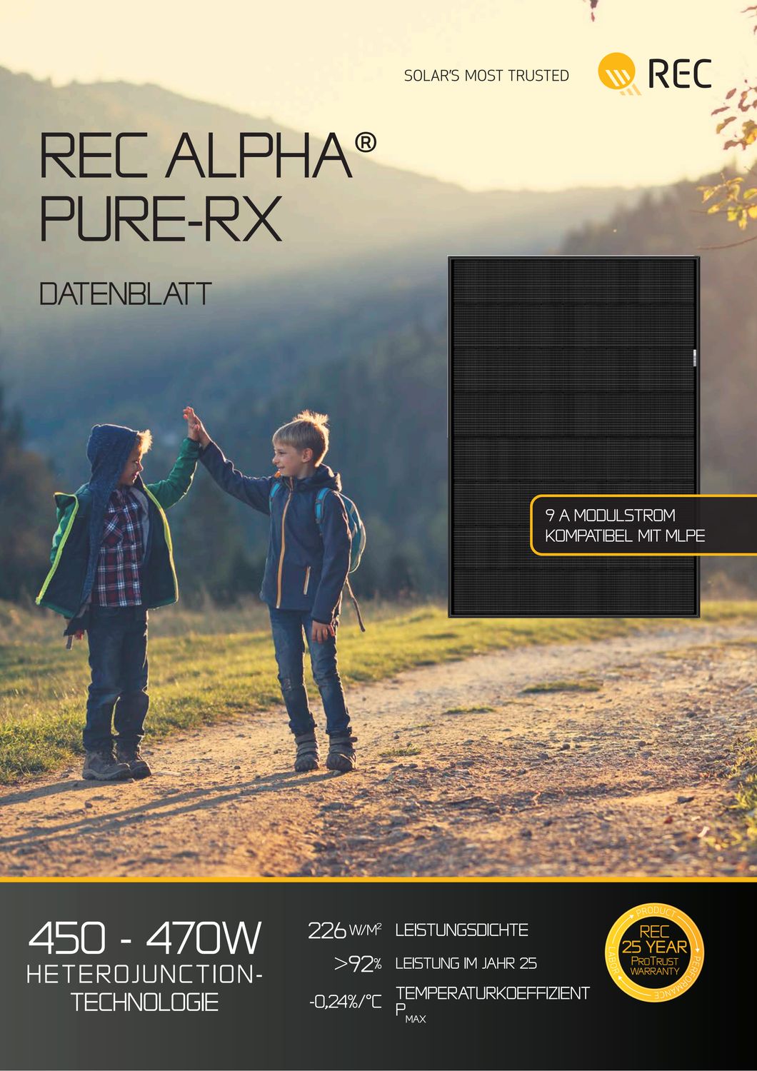 REC Solar REC460AA PURE-RX Full Black 460W Gapless
