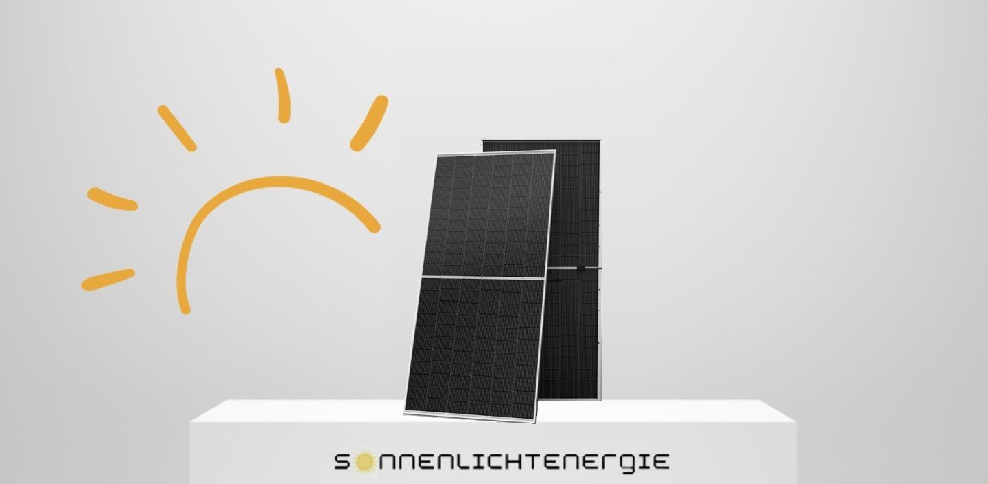 Trina Solar TSM-630NEG19RC.20 Vertex N 630W Glas-Glas Bifazial