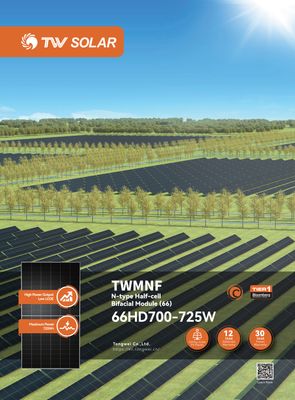 TW Solar TWMNF-66HD-710 Glas-Glas Bifazial 710W