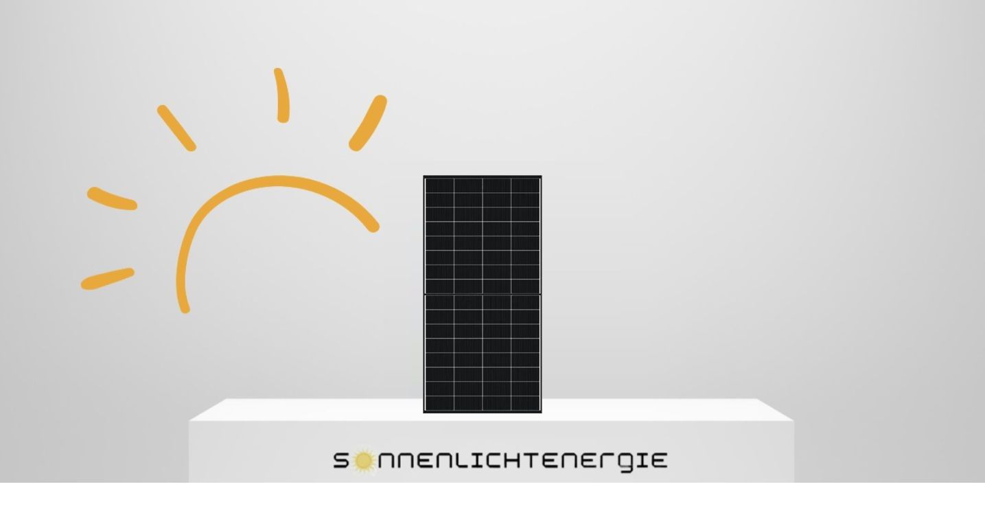 DMEGC Solar DM450M10RT-B54HBB 450W Full black N-Type Glas-Glas