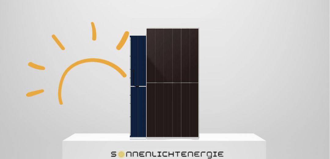 DAH Solar DHN-66Z20/DG 650W Glas-Glas Bifazial
