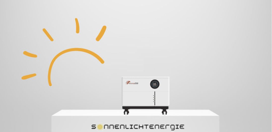 Felicity Solar Batteriespeicher FLS48100SG2 10,24 bis 40,96 kWh