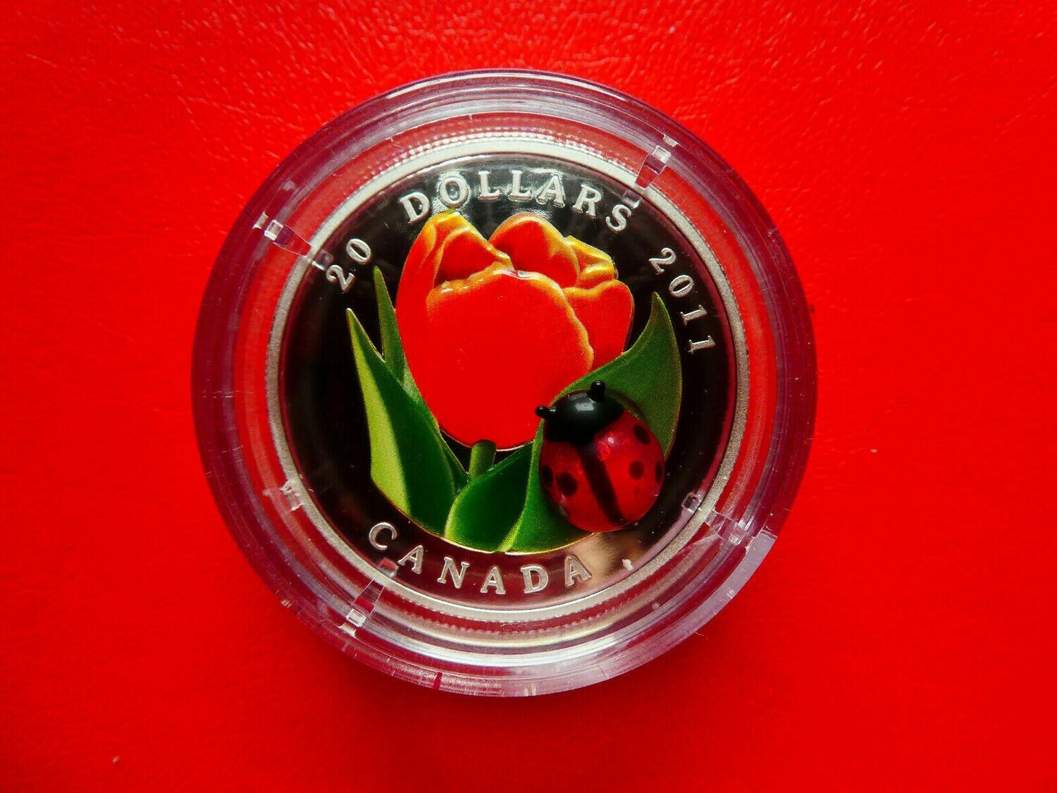 20 Dollars Kanada, 2011, Tulpe mit Marienkäfer, Silber, 1 Unze, Toprarität
