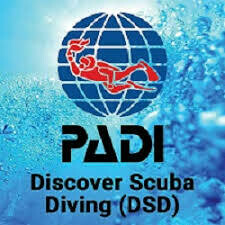 Cours PADI DSD Touch NEWS