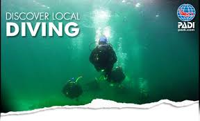 Cours PADI Discover Local Diving