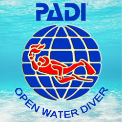 Cours PADI Open Water Diver cour individuel