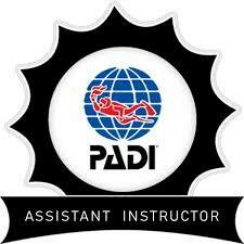 Assistant Instructor