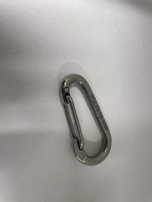 Bestdivers Mousqueton inox 8cm